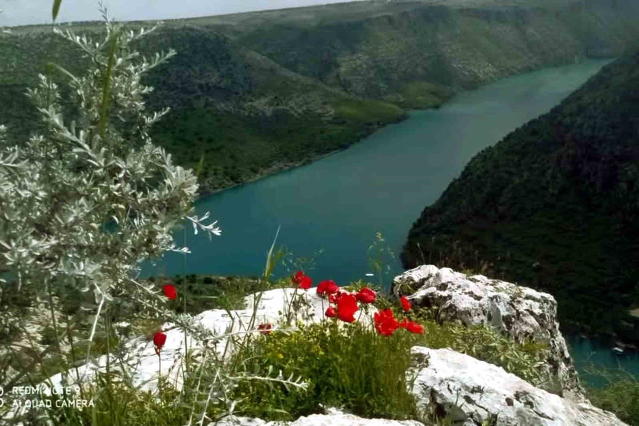 GAZİANTEP'İN ARABAN OVASI, BAHARIN GELİŞİYLE BİRLİKTE RENGARENK GÖRÜNTÜLERE BÜRÜNDÜ. UZUN SÜREDİR...