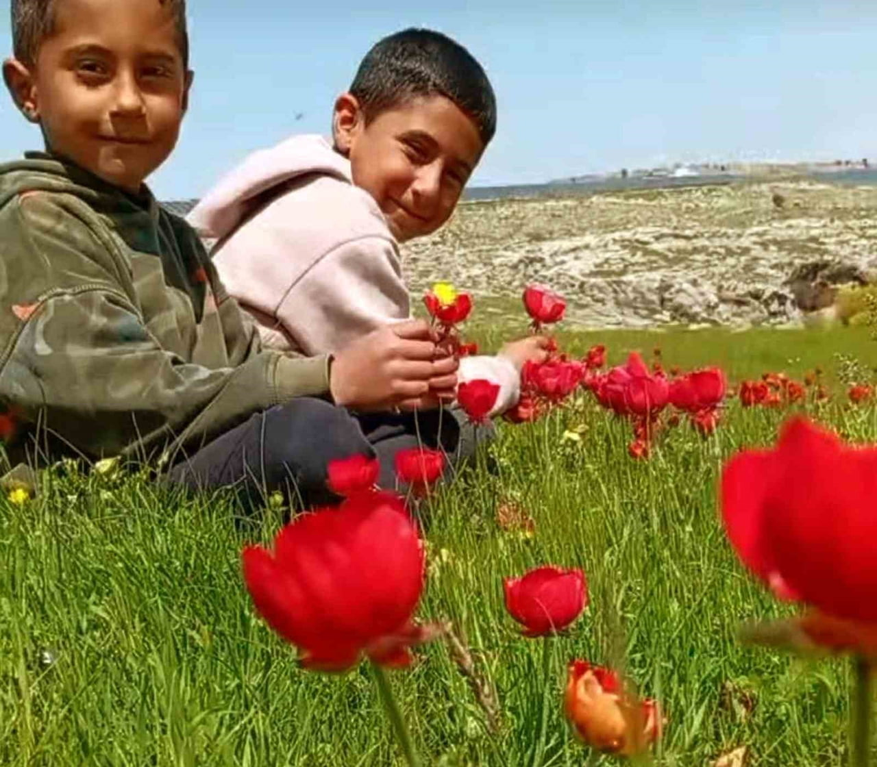 GAZİANTEP'İN ARABAN OVASI, BAHARIN GELİŞİYLE BİRLİKTE RENGARENK GÖRÜNTÜLERE BÜRÜNDÜ. UZUN SÜREDİR...