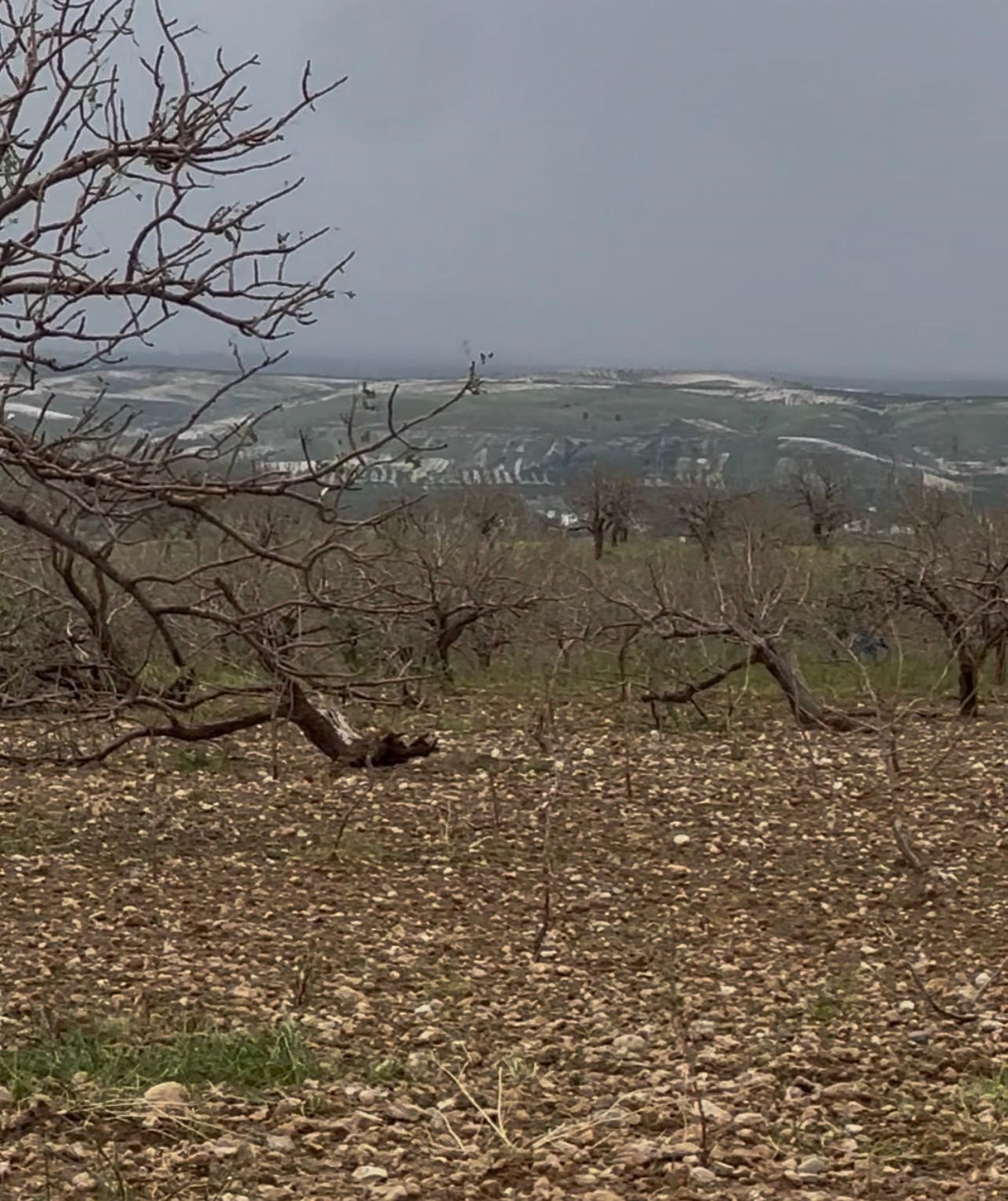 GAZİANTEP KENT KONSEYİ, 14 MAYIS DÜNYA ÇİFTÇİLER GÜNÜ DOLAYISIYLA YAYIMLADIĞI MESAJDA, ÇİFTÇİLERİN...
