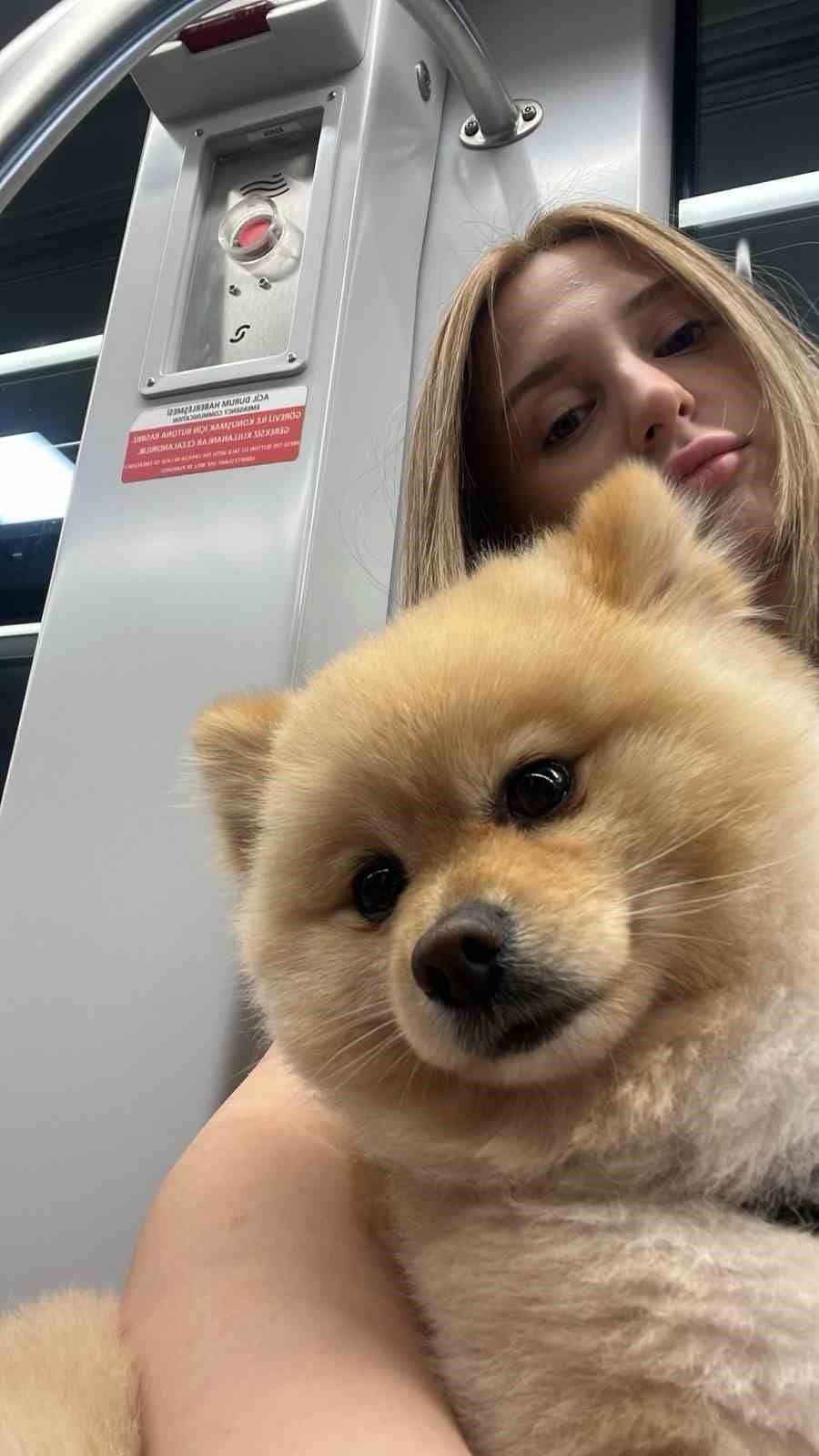GAZİOSMANPAŞA'DA KÖPEĞİNİ PETSHOPA YIKAMAK İÇİN GÖTÜREN SALİHA AHSEN İL, KÖPEĞİNİN YIKANIRKEN...