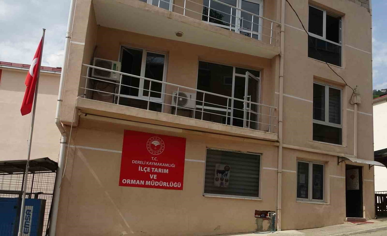 GİRESUN'UN DERELİ İLÇESİNDE İLÇE TARIM VE ORMAN MÜDÜRLÜĞÜ MERKEZLİ YÜRÜTÜLEN ZİMMET...