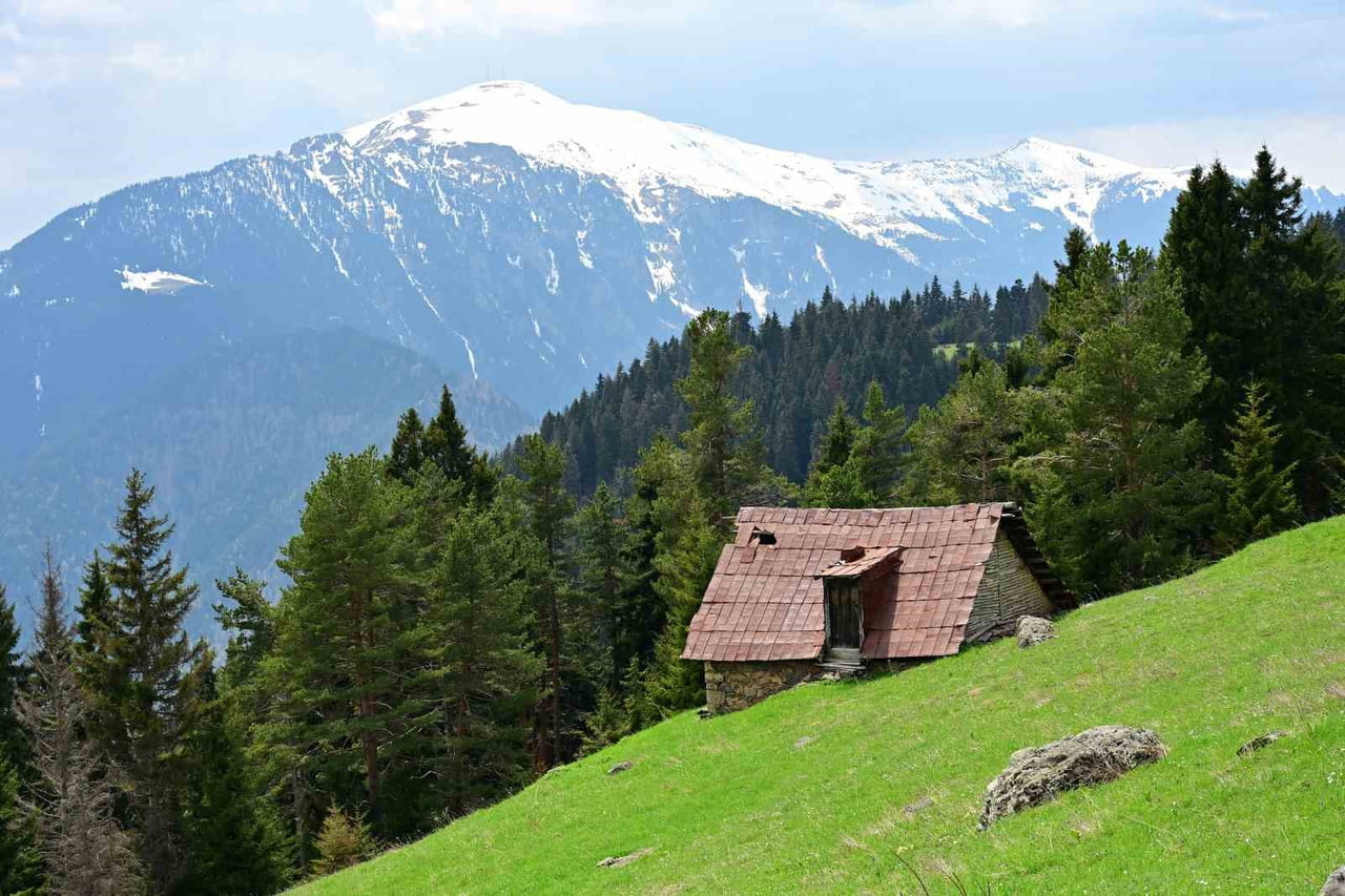 GÜMÜŞHANE DAĞCILIK, DOĞA SPORLARI, GENÇLİK VE SPOR KULÜBÜ DERNEĞİ (GÜDAK), BAHAR MEVSİMİNİN EN...
