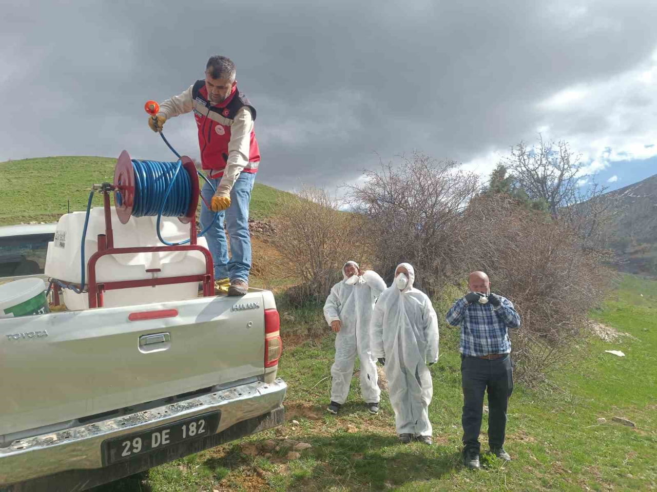 GÜMÜŞHANE’NİN KELKİT İLÇESİNE BAĞLI GÖDÜL KÖYÜ ÇEKİRGELERİN İSTİLASINA UĞRADI, İLAÇLAMA ÇALIŞMASI...