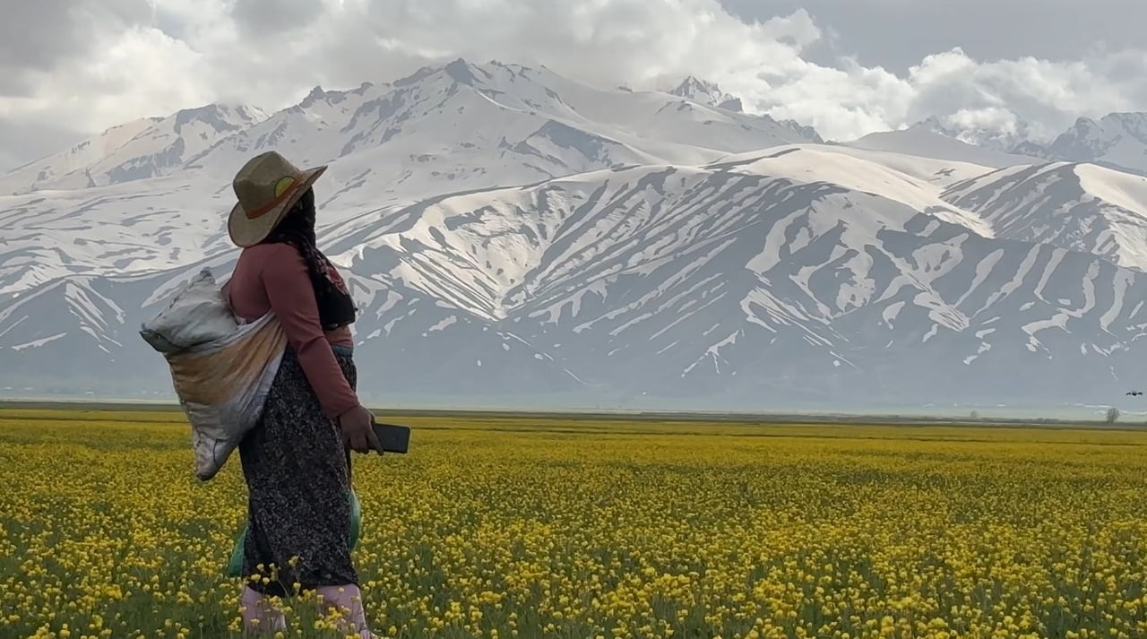 HAKKARİ'NİN YÜKSEKOVA İLÇESİ, BAHARIN GELİŞİYLE BİRLİKTE ETKİLEYİCİ BİR MANZARAYA...