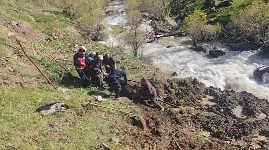 HAKKARİ’NİN OTLUCA KÖYÜNDE DERE YATAĞINDAKİ BATAKLIĞA SAPLANAN İNEK, İTFAİYE EKİPLERİ VE...
