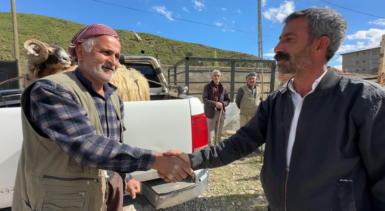 HAKKARİ’NİN YÜKSEKOVA İLÇESİNDE KURULAN CANLI HAYVAN PAZARINDA KURBAN BAYRAMI ÖNCESİ HAREKETLİLİK...