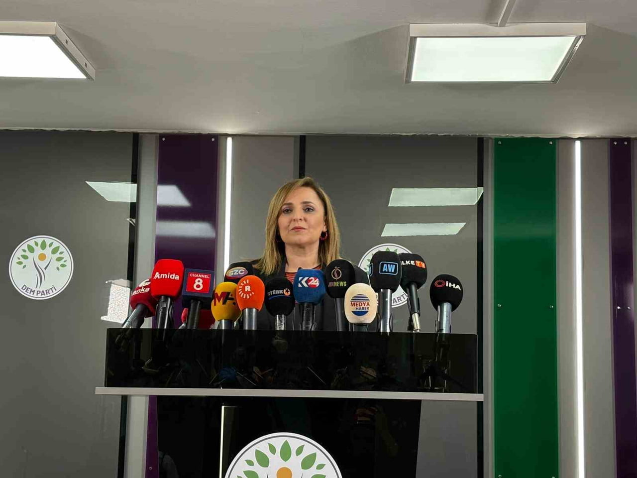 HALKLARIN EŞİTLİK VE DEMOKRASİ PARTİSİ (DEM PARTİ) SÖZCÜSÜ AYŞEGÜL DOĞAN, "BARIŞ TALEBİ TOPLUMSAL...