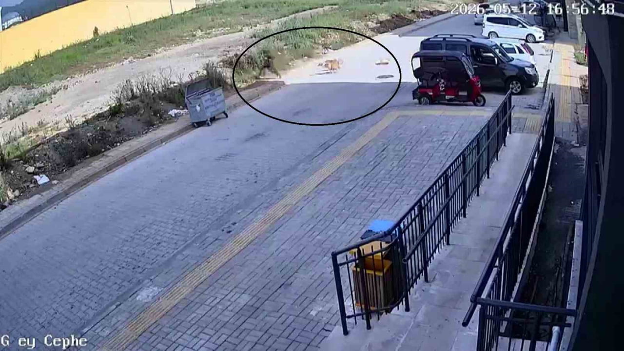 HATAY'DA SOKAKTA YÜRÜDÜĞÜ ESNADA KÖPEKLERİN SALDIRISINA MARUZ KALAN 7 YAŞINDAKİ ÇOCUĞUN YAŞADIĞI...