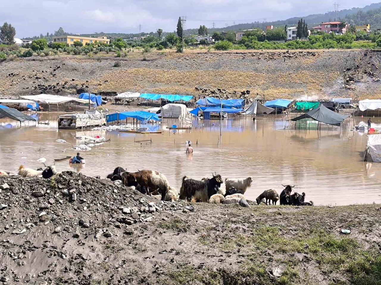 HATAY'IN DÖRTYOL İLÇESİNDE ETKİLİ OLAN YAĞIŞLI HAVAYLA BİRLİKTE SELE TESLİM OLAN HAYVAN PAZARI...