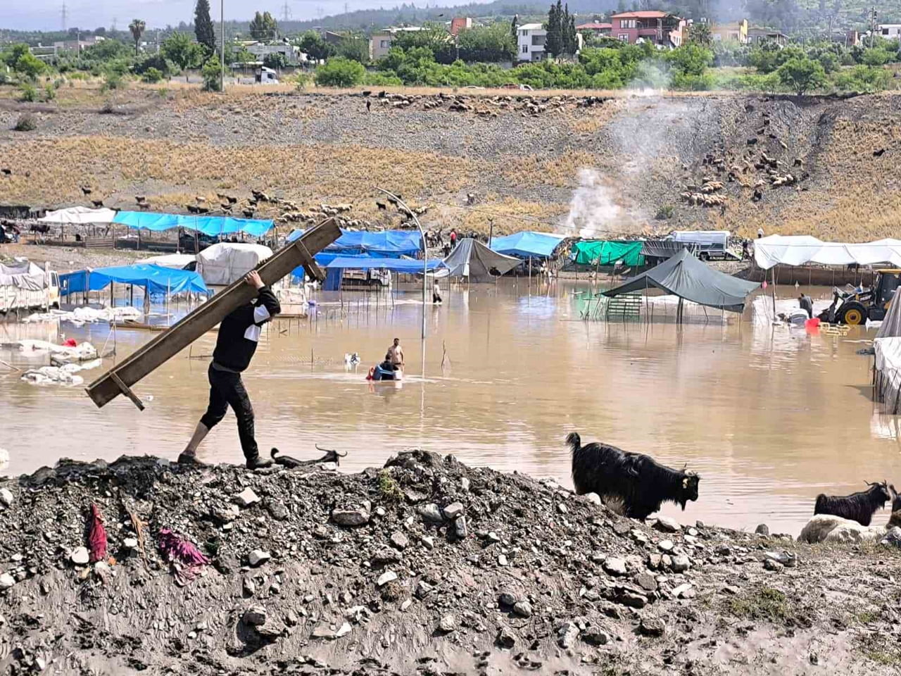 HATAY'IN DÖRTYOL İLÇESİNDE ETKİLİ OLAN YAĞIŞLI HAVAYLA BİRLİKTE SELE TESLİM OLAN HAYVAN PAZARI...