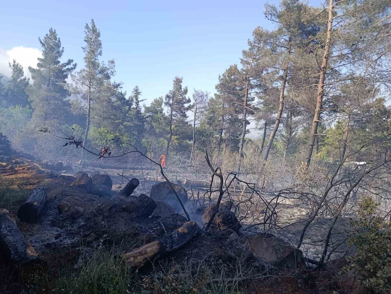 HATAY'IN KIRIKHAN İLÇESİNDE ÇIKAN ORMAN YANGINI ÇIKTI. ORMAN YANGINI EKİPLERİNİN MÜDAHALESİYLE...