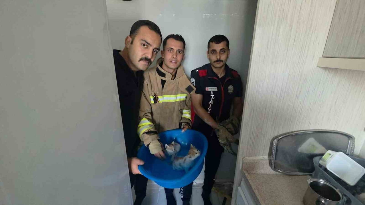 HATAY’DA HAVALANDIRMA BOŞLUĞUNA DÜŞEREK MAHSUR KALAN YAVRU KEDİLER, İTFAİYE EKİPLERİ TARAFINDAN...