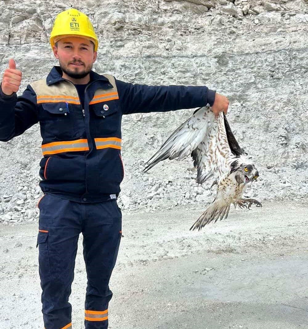 HİSARCIK İLÇESİNDE MADEN SAHASINDA BİTKİN HALDE BULUNAN BALIK KARTALI KORUMA ALTINA ALIND