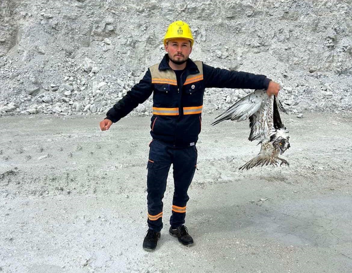 HİSARCIK İLÇESİNDE MADEN SAHASINDA BİTKİN HALDE BULUNAN BALIK KARTALI KORUMA ALTINA ALIND
