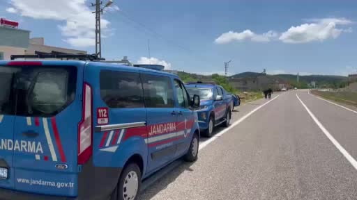 Husumetli iki yaşlı arasındaki kavga ölümle bitti