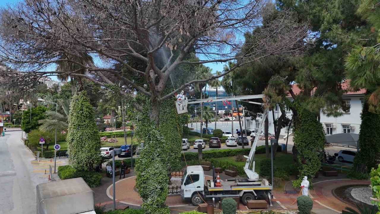 İKLİM DEĞİŞİKLİĞİ VE KURAKLIĞIN ETKİSİYLE SON YILLARDA ARTIŞ GÖSTEREN ZARARLI POPÜLASYONLARA KARŞI...