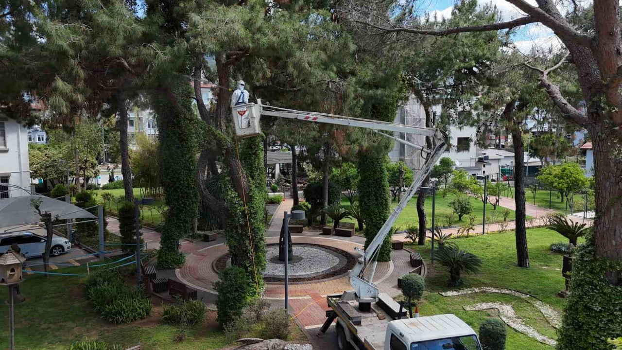 İKLİM DEĞİŞİKLİĞİ VE KURAKLIĞIN ETKİSİYLE SON YILLARDA ARTIŞ GÖSTEREN ZARARLI POPÜLASYONLARA KARŞI...