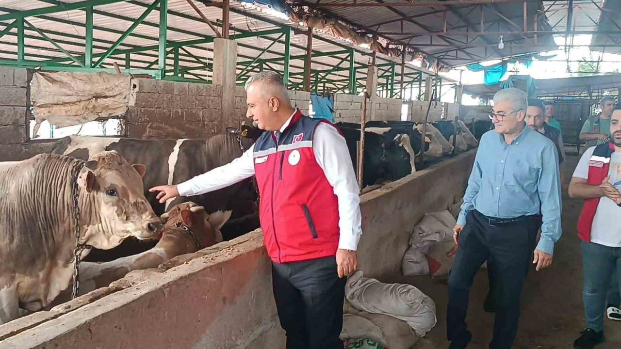 İL GENELİNDEKİ HAYVAN SATIŞ YERLERİNDE GERÇEKLEŞTİRİLEN DENETİMLERDE KURBANLIK HAYVANLARIN SAĞLIK...