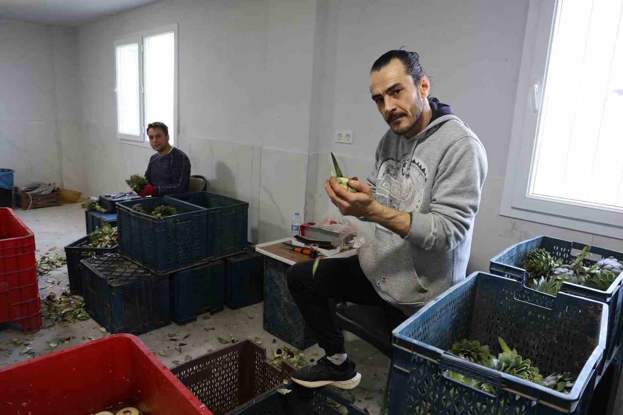 İSTANBUL'DAN AYDIN'A GELEN ALİ VE SEZGİN ÇELİKTAŞ KARDEŞLER DE SEZON BOYUNCA YOĞUN TEMPODA...
