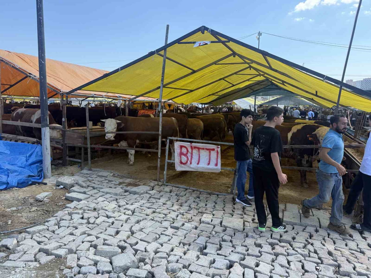 İSTANBUL AVCILAR’DA KURBAN BAYRAMINA BİR GÜN KALA BİRÇOK SATICI, KURBANLIKLARINI SATTI. HAYVANLARI...