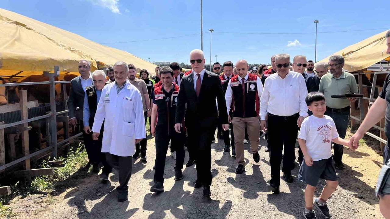İSTANBUL VALİSİ DAVUT GÜL, KURBAN BAYRAMI ÖNCESİ BAHÇELİEVLER BELEDİYESİ KURBAN SATIŞ VE KESİM...