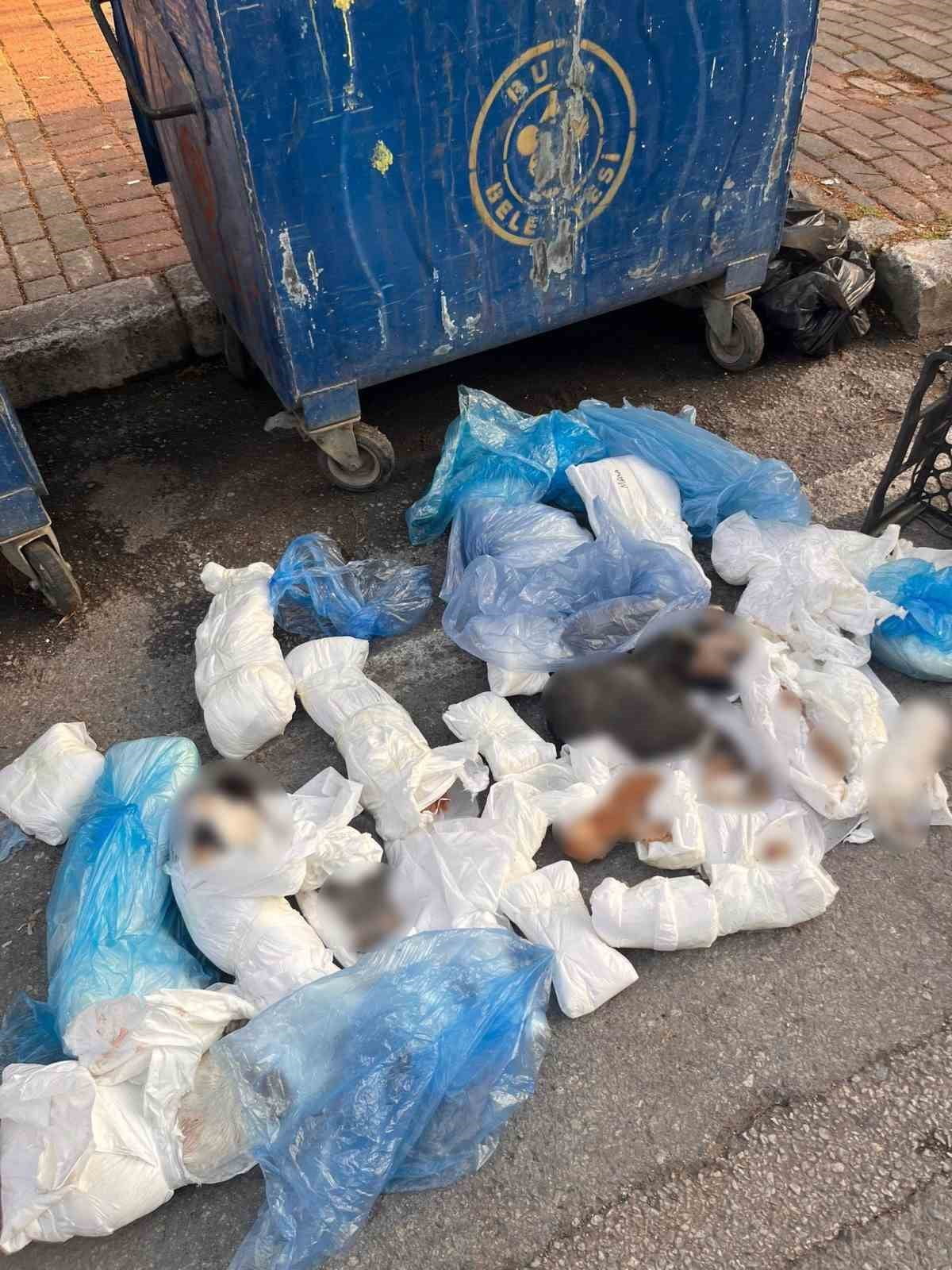 İZMİR'İN BUCA İLÇESİNDE BİR ÇÖP KONTEYNERİNDE POŞETLER İÇERİSİNDE 33 ÖLÜ KEDİNİN BULUNMASINA...