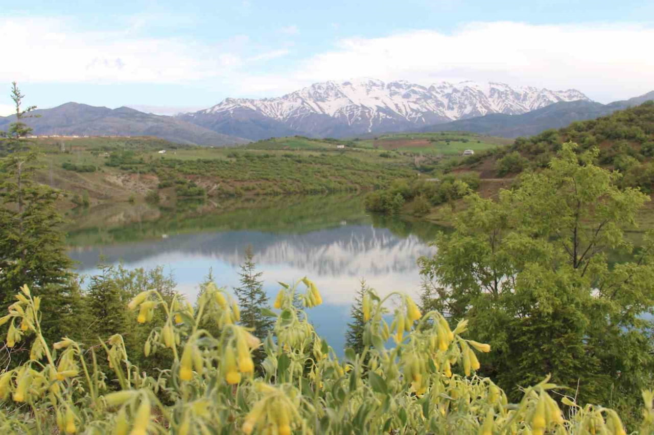 KAHRAMANMARAŞ AFŞİN İLÇESİ ESENCE MAHALLESİ’NDE BULUNAN ESENCE GÖLETİ, 3050 RAKIMLI BERİT DAĞI İLE...