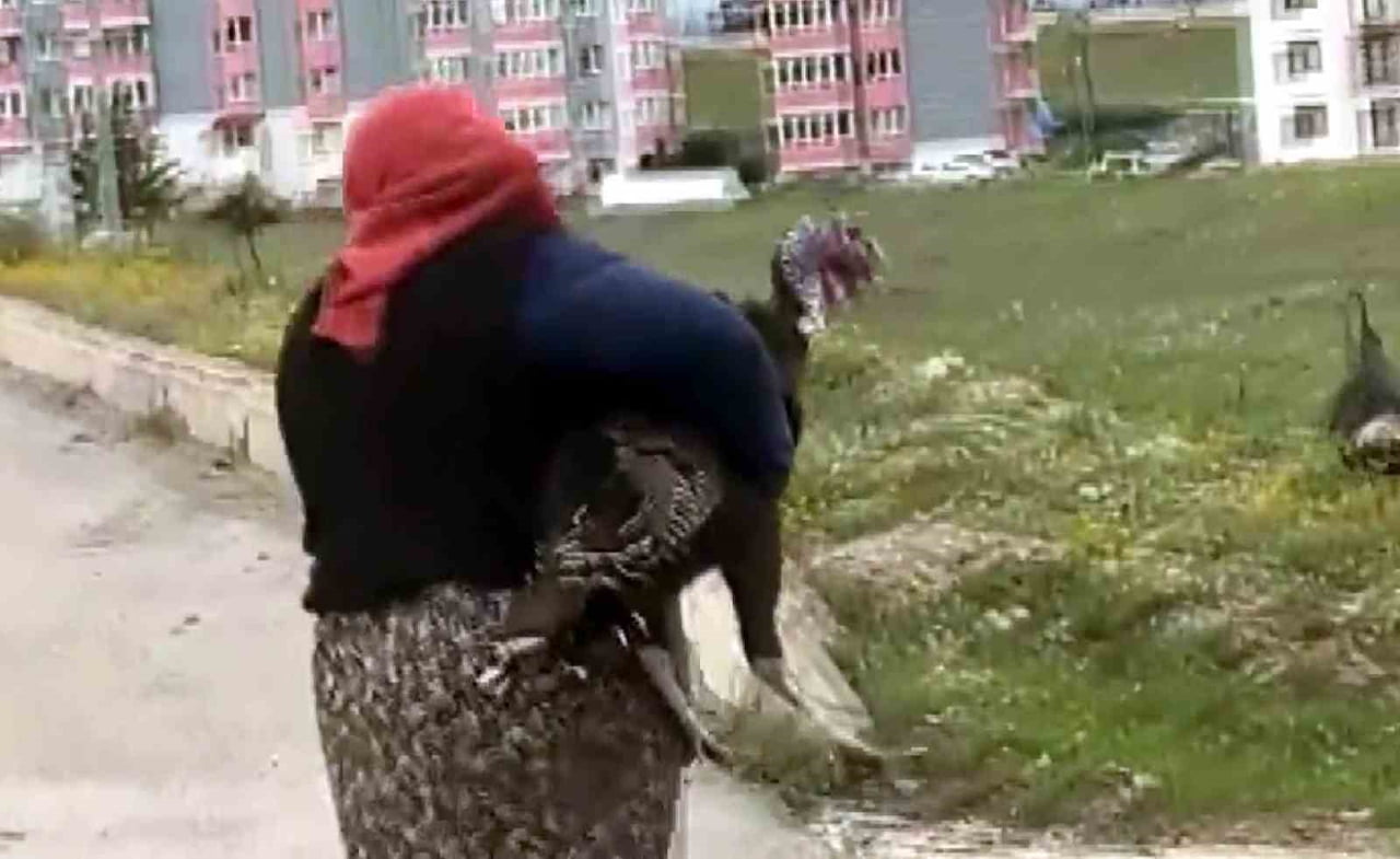 KARABÜK’ÜN EFLANİ İLÇESİNDE YOL ORTASINDA KAVGA EDEN İKİ HİNDİ, TRAFİĞİ DURMA NOKTASINA GETİRDİ. O...