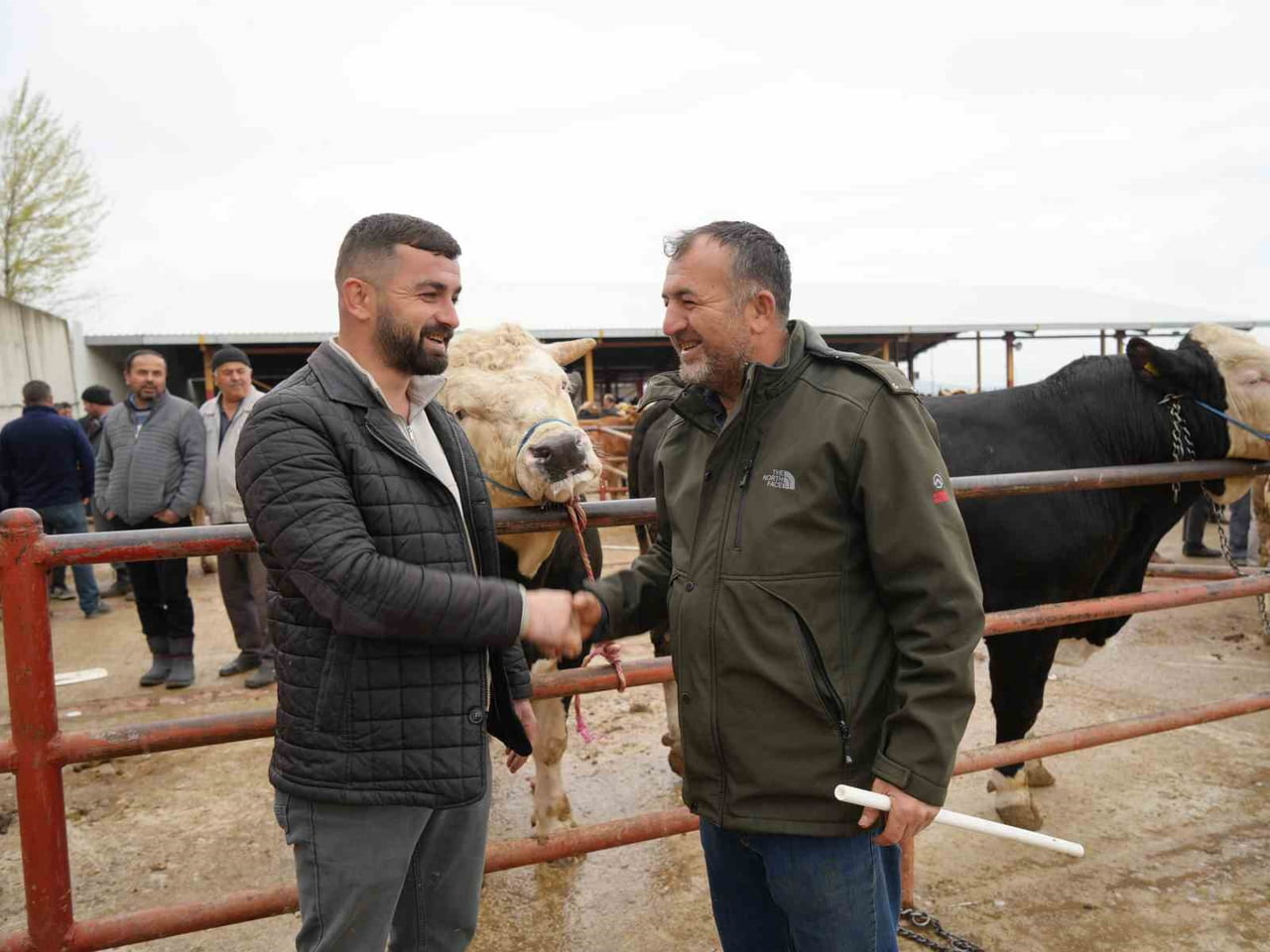 KASTAMONU’DA KURBAN BAYRAMI ÖNCESİNDE HAREKETLİLİK DEVAM EDERKEN, PAZARIN GÖZDESİ 850 KİLOGRAM...
