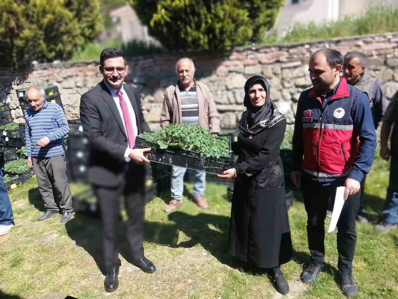 KASTAMONU’NUN HANÖNÜ İLÇESİNDE 160 KİŞİYE 30 BİN DOMATES BİBER VE SALATALIK FİDESİ...