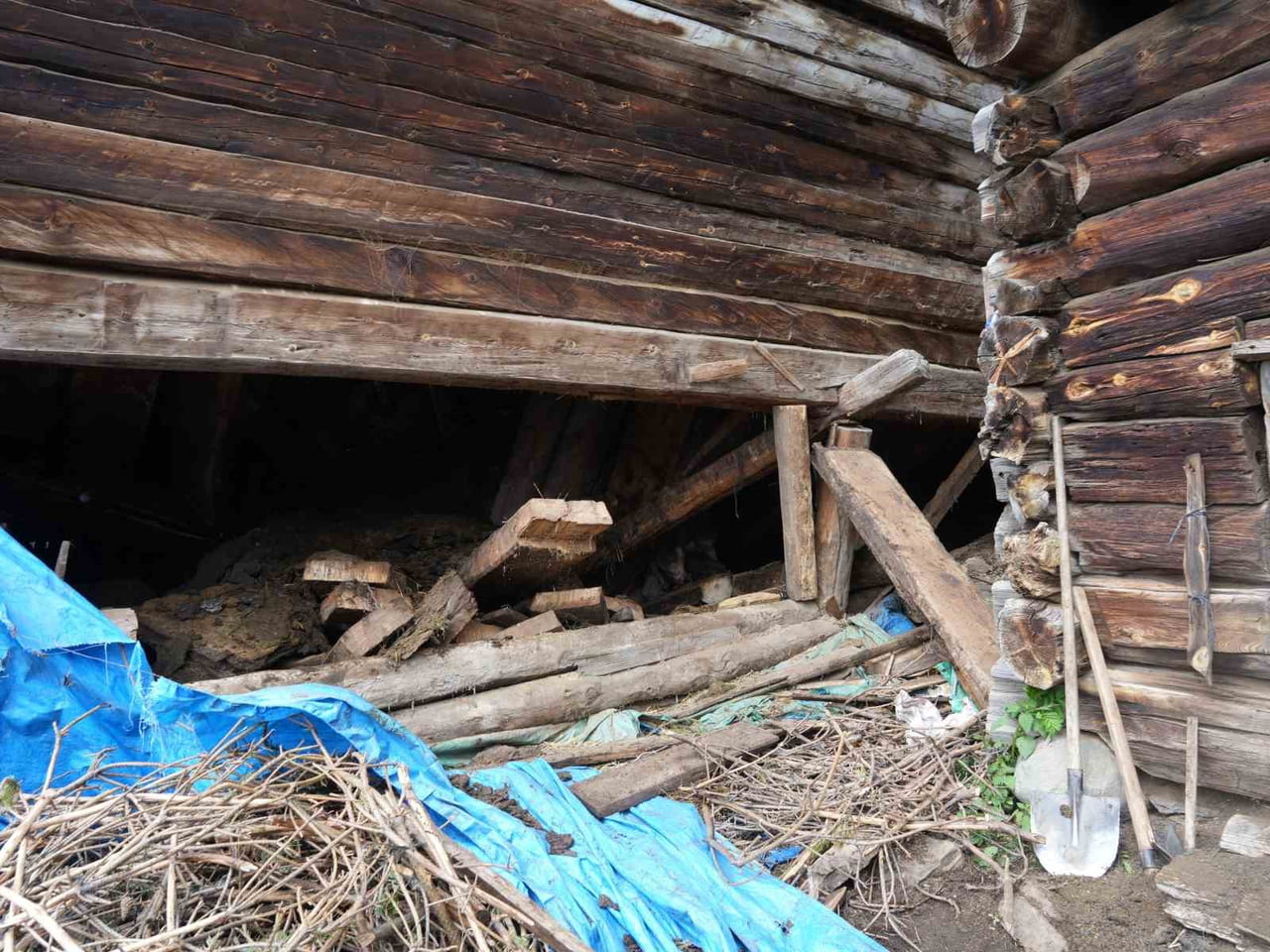 KASTAMONU’NUN TAŞKÖPRÜ İLÇESİNDE AHIRIN ÇÖKMESİ SONUCU FATMA DEMİR HAYATINI KAYBETTİ, 50’DEN FAZLA...