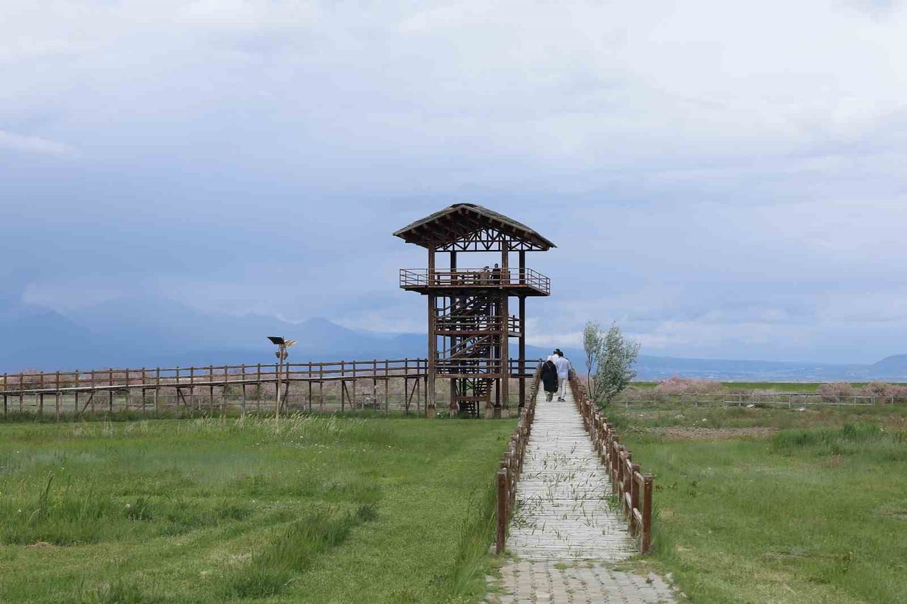 KAYSERİ BÜYÜKŞEHİR BELEDİYE BAŞKANI DR. MEMDUH BÜYÜKKILIÇ, SULTAN SAZLIĞI MİLLİ PARKI’NDA...