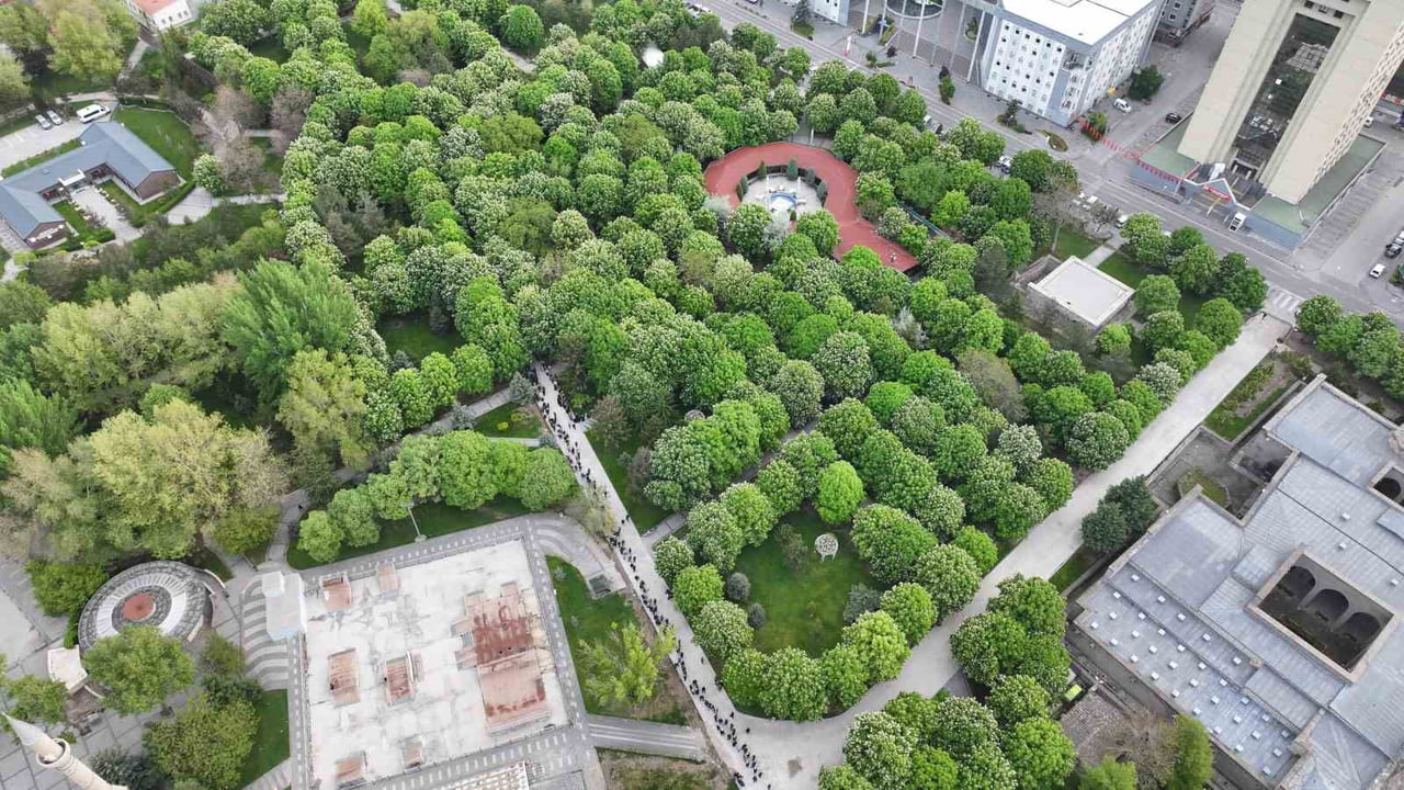 KAYSERİ’DE KOCASİNAN BELEDİYESİ TARAFINDAN HER YIL DÜZENLENEN ORGANİK DOMATES FİDESİ DAĞITIMINDA...