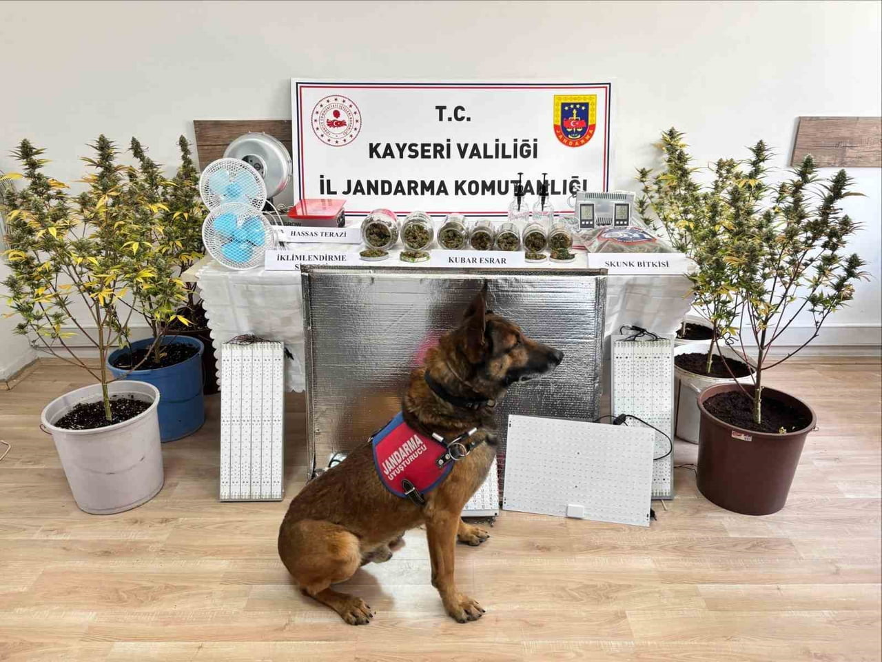 KAYSERİ İL JANDARMA KOMUTANLIĞI EKİPLERİNCE YAPILAN ÇALIŞMALARDA 830 GRAM UYUŞTURUCU MADDE ELE...
