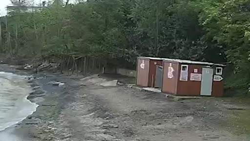 Kediye çarpmamak için manevra yapan aracın plaja uçtuğu kaza kamerada