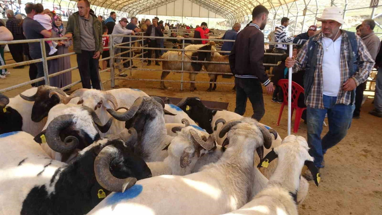 KİLİS’TE KURBANLIK PAZARINDA HAREKETLİLİK BAŞLADI