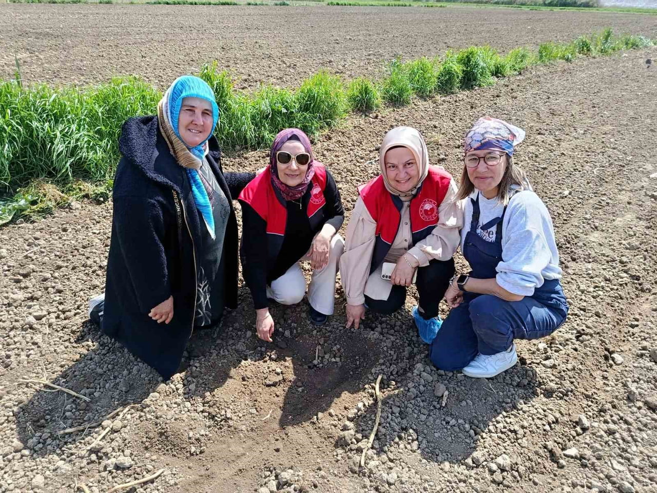 KIRKLARELİ'NİN BABAESKİ İLÇESİNDE İLÇE TARIM VE ORMAN MÜDÜRLÜĞÜ TEKNİK PERSONELLERİ, KADIN...