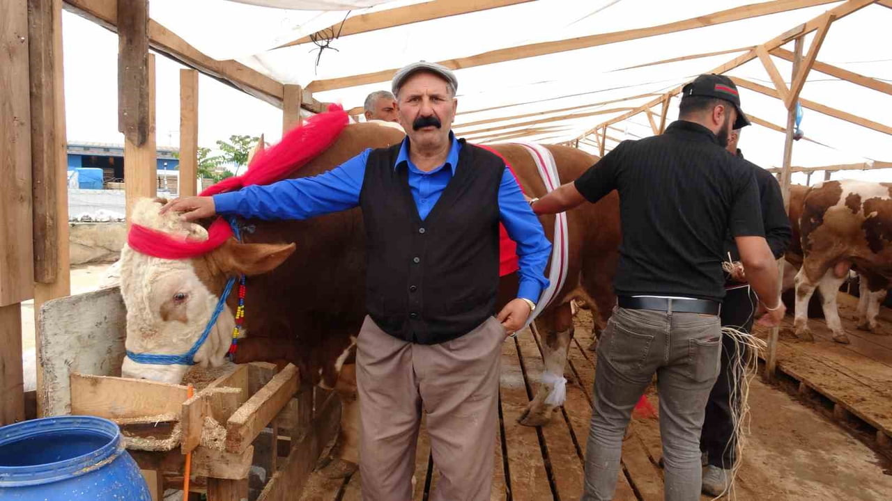 KRAL ADLI BOĞA
