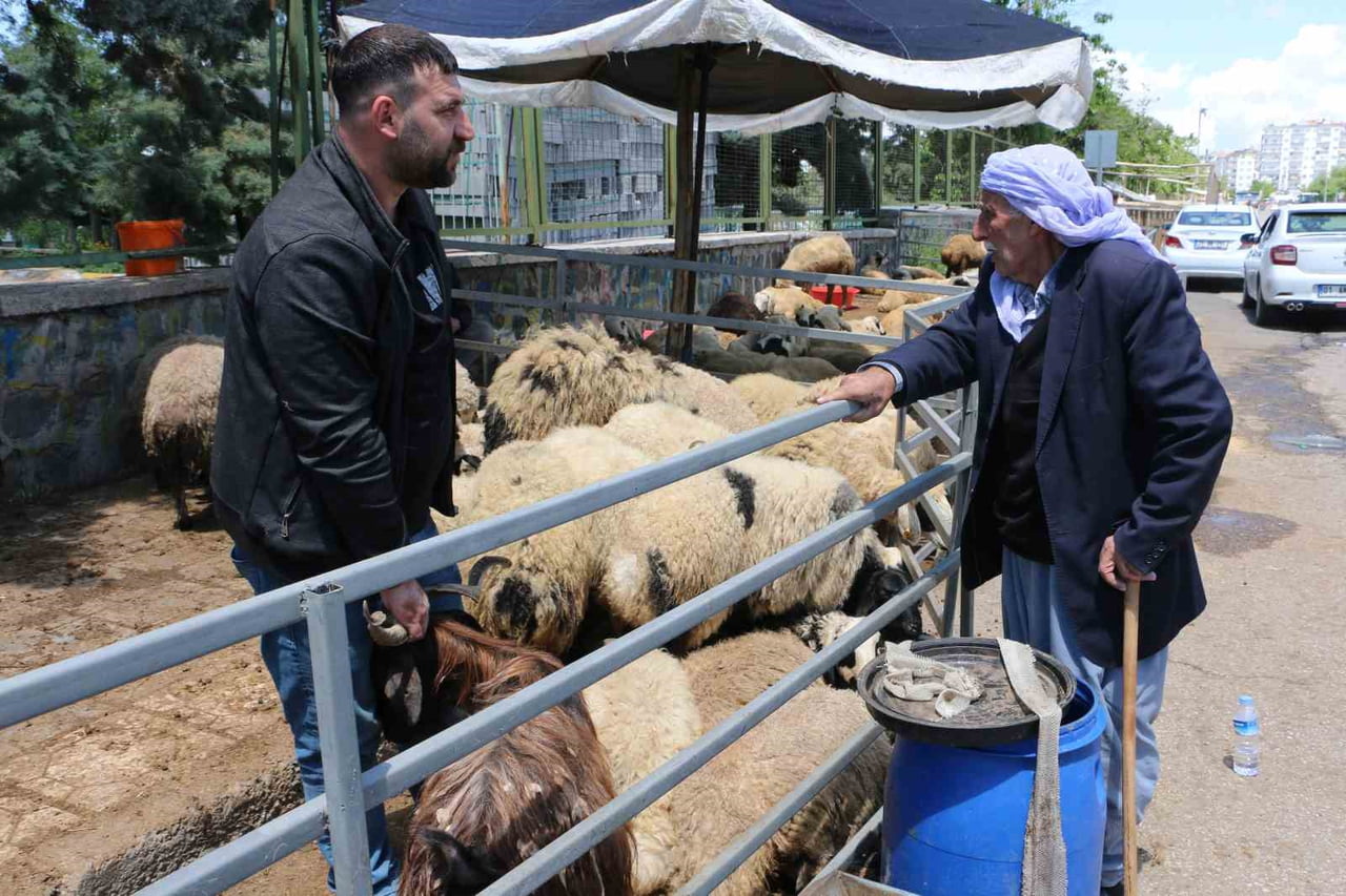 KURBAN BAYRAMI’NA SAYILI GÜNLER KALA HAYVAN PAZARLARINDA BEKLENEN YOĞUNLUK HENÜZ OLUŞMADI....