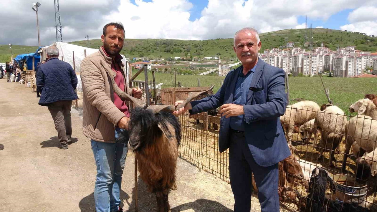 KURBAN BAYRAMINA SAATLER KALA YOZGAT’TAKİ CANLI HAYVAN PAZARINDA HAREKETLİLİK SÜRÜYOR.