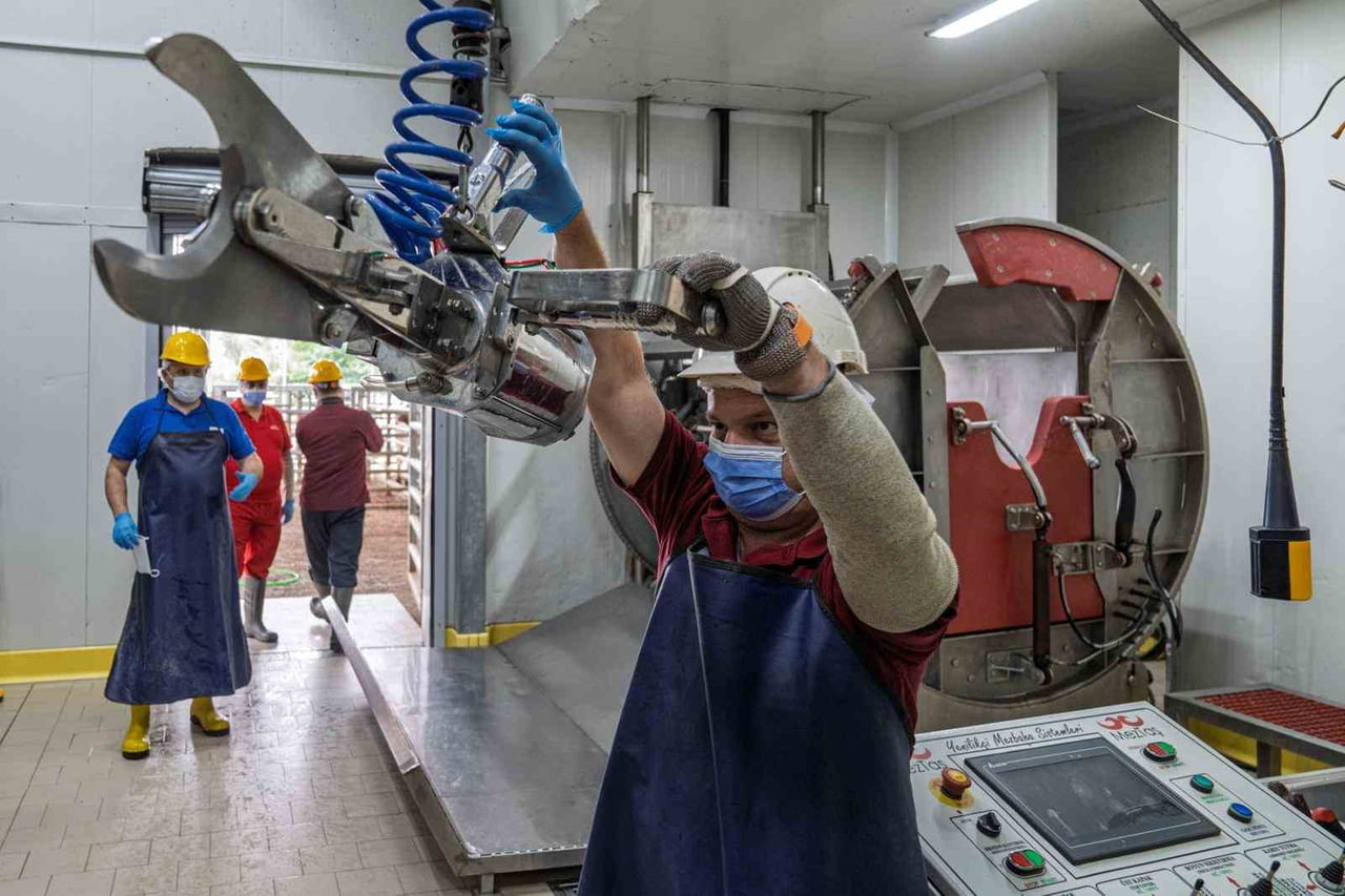 KURBAN KESİMLERİ İÇİN ALTI MEZBAHA, ALTI MOBİL KESİM ÜNİTESİ VE BEŞ KESİM ÇADIRINDA HİZMET...