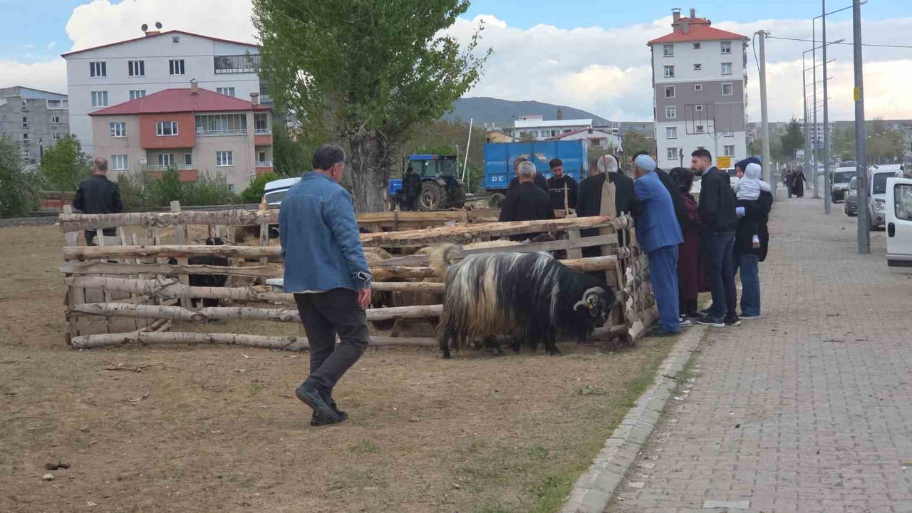 KURBAN SATIŞ ALANI