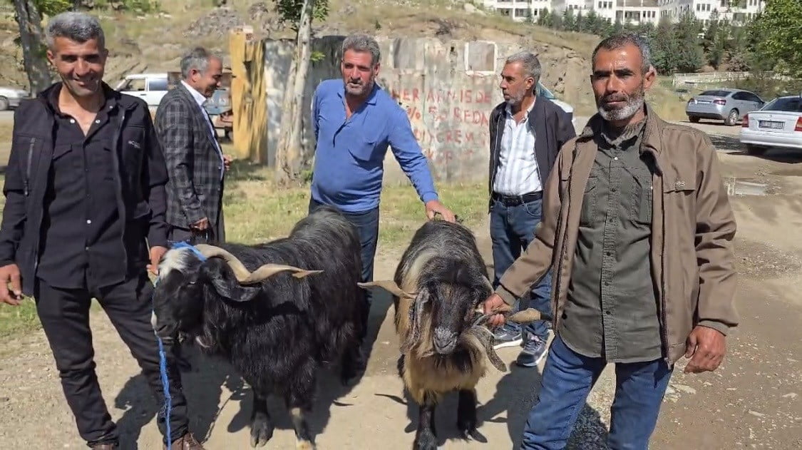 KURBANLIK HAYVANLARIN BÜYÜK BİR BÖLÜMÜ SATILDI. KURBANLIK HAYVAN SATIŞLARI BAYRAMIN 4'ÜNCÜ GÜNÜNE...