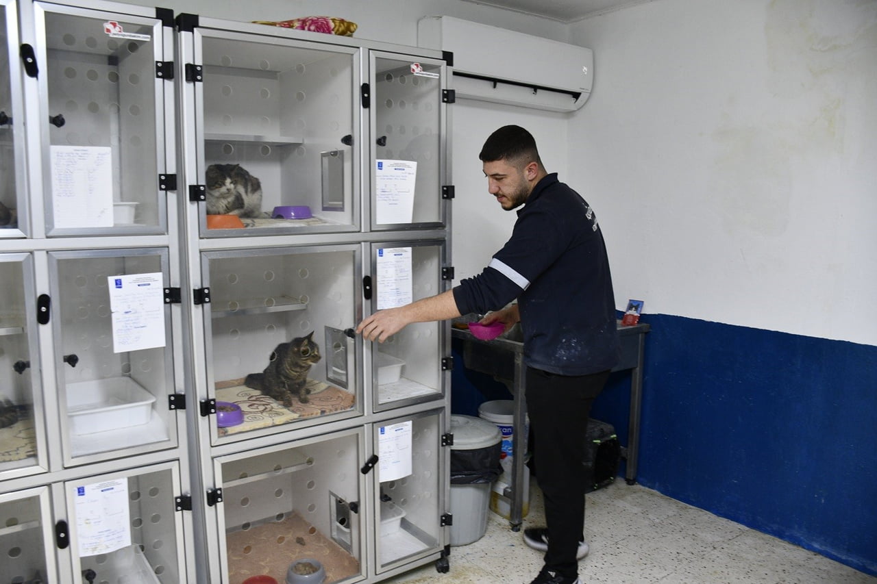 KUŞADASI BELEDİYESİ’NİN DAVUTLAR KEDİ KISIRLAŞTIRMA MERKEZİ’NDE BUGÜNE KADAR BİN 160 KISIRLAŞTIRMA...