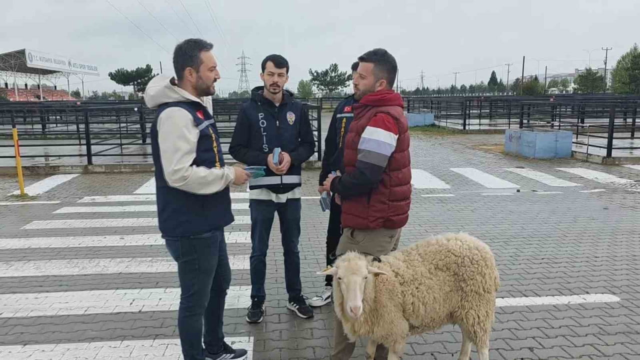 KÜTAHYA'DA POLİS EKİPLERİ CANLI HAYVAN PAZARINDA SAHTE PARA VE DOLANDIRICILIK OLAYLARINA KARŞI...