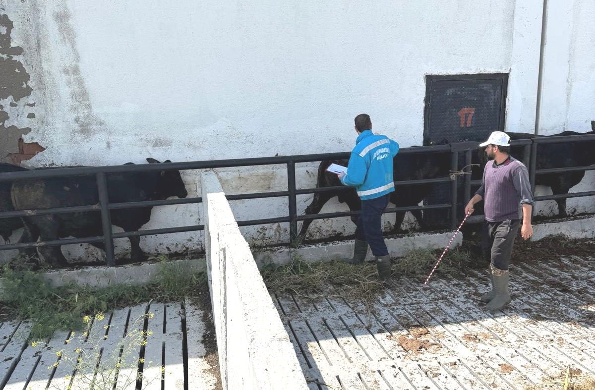 KÜTAHYA’DA İTHAL BESİLİK DANALARIN AŞILAMA VE SAĞLIK KONTROLLERİ YAPILDI