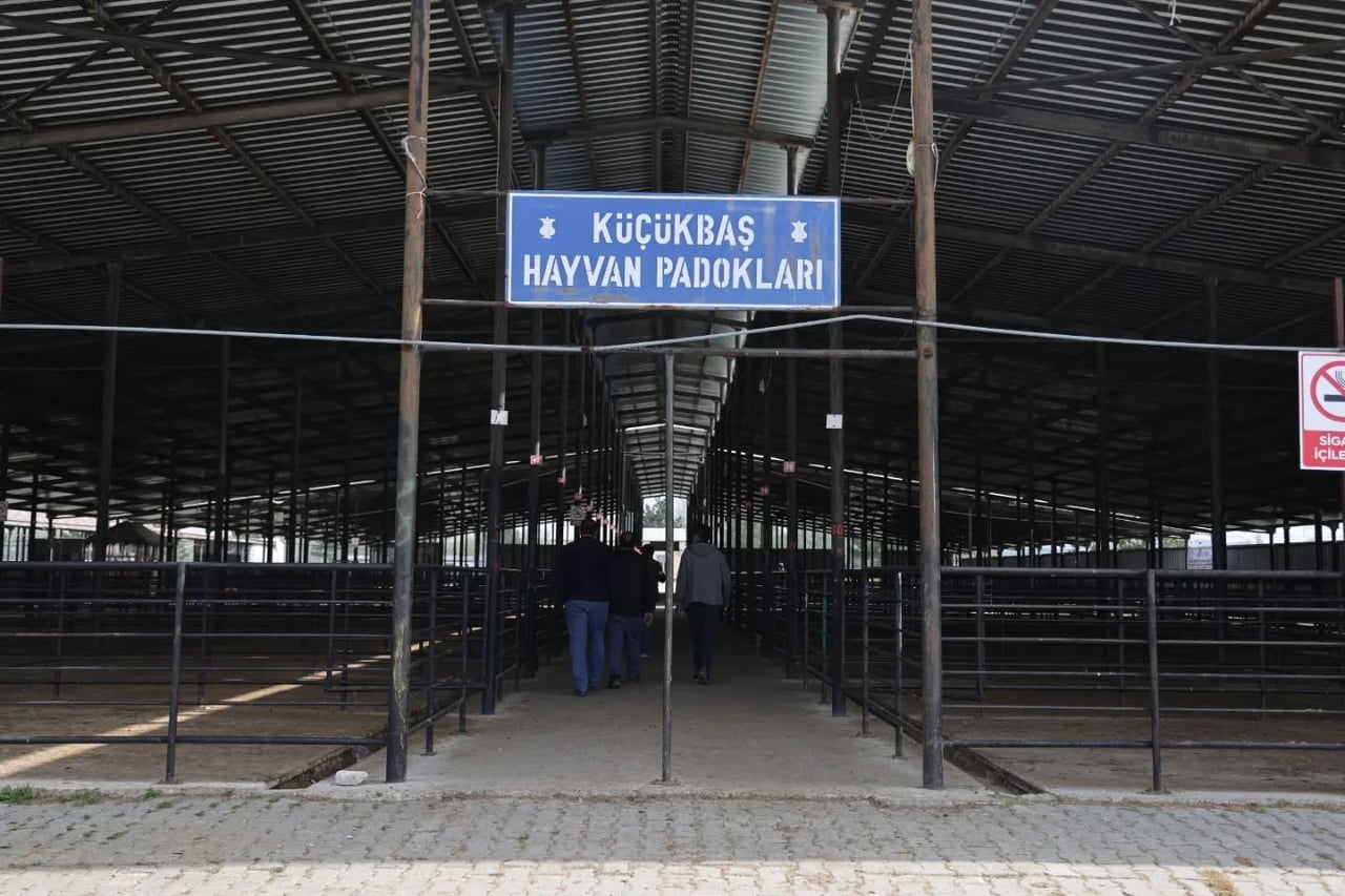 KÜTAHYA’DA KÜÇÜKBAŞ HAYVAN PADOKLARININ KURA ÇEKİMİ GERÇEKLEŞTİRİLDİ