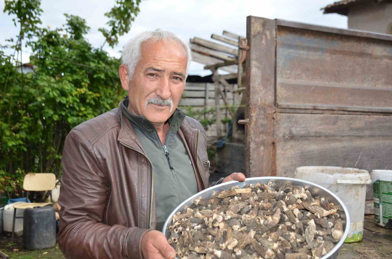 KUZUGÖBEĞİ MANTARI ARAYAN YÖRE SAKİNLERİNDEN RECEP APAK