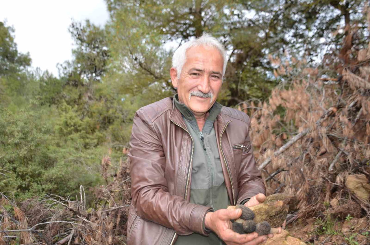 KUZUGÖBEĞİ MANTARI ARAYAN YÖRE SAKİNLERİNDEN RECEP APAK