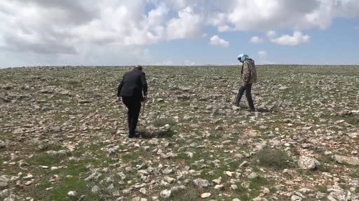 Malatya'da yüksek rakımlı bölgelerde çiğdem mesaisi